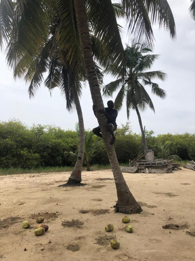 Natura Luxury Lodge Ouidah Exteriör bild